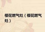 樱花燃气灶（樱花燃气灶）