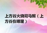 上方谷火烧司马懿（上方谷在哪里）