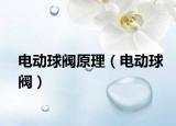 电动球阀原理（电动球阀）