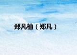 郑凡植（郑凡）