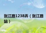张江路1238弄（张江路站）