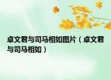 卓文君与司马相如图片（卓文君与司马相如）