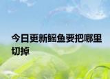 今日更新鳐鱼要把哪里切掉