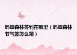 蚂蚁森林签到在哪里（蚂蚁森林节气签怎么领）