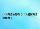 什么叫介质问题（什么是因为介质原因）