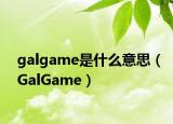 galgame是什么意思（GalGame）
