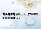 齐头并进的意思什么（齐头并进的意思是什么）