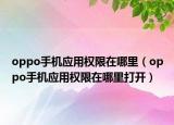 oppo手机应用权限在哪里（oppo手机应用权限在哪里打开）