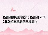杨善洲的电影简介（杨善洲 2012年张绍林执导的电视剧）