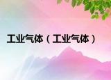 工业气体（工业气体）