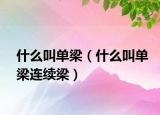 什么叫单梁（什么叫单梁连续梁）