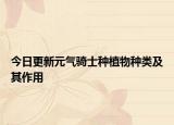 今日更新元气骑士种植物种类及其作用