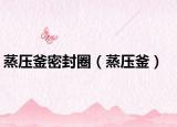 蒸压釜密封圈（蒸压釜）