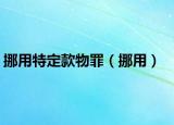 挪用特定款物罪（挪用）