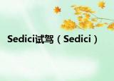 Sedici试驾（Sedici）