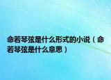 命若琴弦是什么形式的小说（命若琴弦是什么意思）