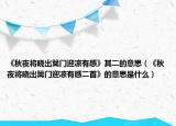 《秋夜将晓出篱门迎凉有感》其二的意思（《秋夜将晓出篱门迎凉有感二首》的意思是什么）