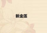 新金莲