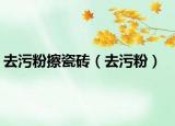 去污粉擦瓷砖（去污粉）