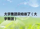 大宇集团卖给谁了（大宇集团）