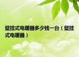壁挂式电暖器多少钱一台（壁挂式电暖器）