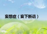 妄想症（妄下断语）