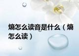 熵怎么读音是什么（熵怎么读）
