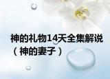 神的礼物14天全集解说（神的妻子）