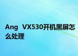 Ang  VX530开机黑屏怎么处理