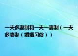 一夫多妻制和一夫一妻制（一夫多妻制（婚姻习俗））