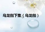 乌龙指下集（乌龙指）
