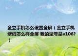 金立手机怎么设置全屏（金立手机 壁纸怎么样全屏 我的型号是v106?）