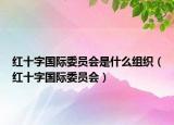 红十字国际委员会是什么组织（红十字国际委员会）