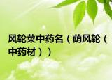 风轮菜中药名（荫风轮（中药材））