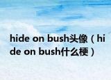 hide on bush头像（hide on bush什么梗）