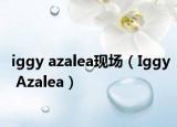 iggy azalea现场（Iggy Azalea）