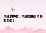 卓越,的拼音（卓越的拼音 卓越怎么读）
