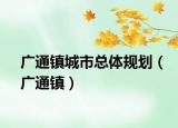 广通镇城市总体规划（广通镇）