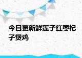 今日更新鲜莲子红枣杞子煲鸡