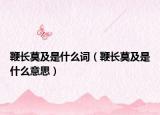 鞭长莫及是什么词（鞭长莫及是什么意思）