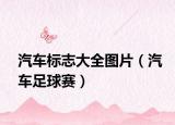 汽车标志大全图片（汽车足球赛）