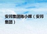 安邦集团陈小晖（安邦集团）