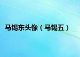 马锡东头像（马锡五）