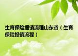 生育保险报销流程山东省（生育保险报销流程）