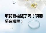项羽墓被盗了吗（项羽墓在哪里）