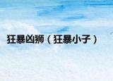 狂暴凶狮（狂暴小子）