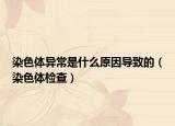 染色体异常是什么原因导致的（染色体检查）
