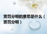 赏罚分明的意思是什么（赏罚分明）