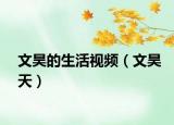 文昊的生活视频（文昊天）