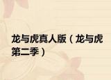龙与虎真人版（龙与虎第二季）